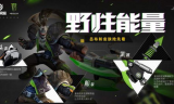 传奇私服1.80,经典怀旧玩法深度解析-装备职业全攻略