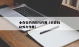 最新开传奇私服：探索游戏世界的无限可能