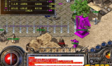 传奇私服中变: Understanding Private Server Variants and Their Impact